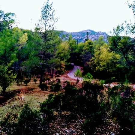 Farm stay Fuente Del Ciervo 1