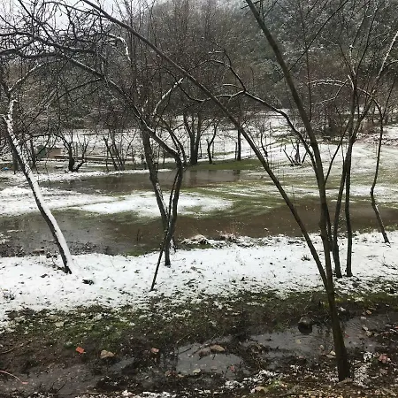 Fuente Del Ciervo 1 팜스테이